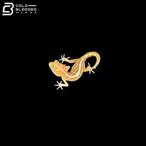 Amelanistic Pictus Geckos - Paroedura Pictus