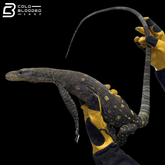 Sorong Crocodile Monitor - Varanus Salvadorii