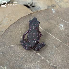 Amazonian Purple Harlequin toad - Atelopus Barbotini