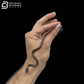 Baby Paradise Flying Snake - Chrysopelea Paradisi