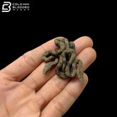 Baby Indonesian Tree Boa - Candoia Carinata