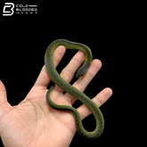 Velvet Swamp Snake - Erythrolamprus typhlus