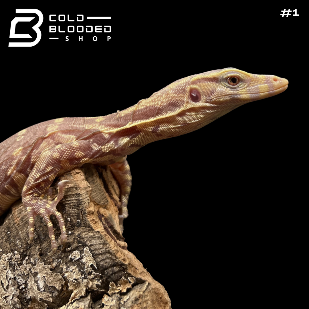 Baby Water Monitor