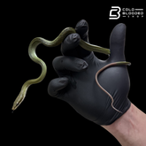 Captive Bred Blue Red-tailed Green Rat Snake - Gonyosoma oxycephalum
