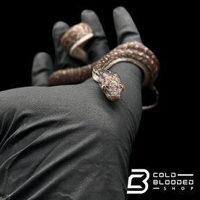 Yearling Pair of Berry Island Boas - Chilabothrus strigilatus fowleri