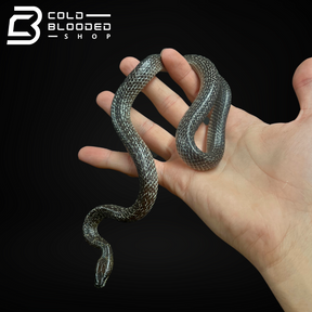 Serpiente Lobo - Lycodon subsinctus